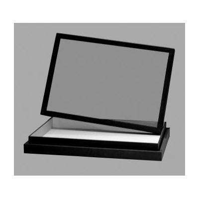 Capsa entomologia fusta folrada verda. Mides 390x270x50 mm