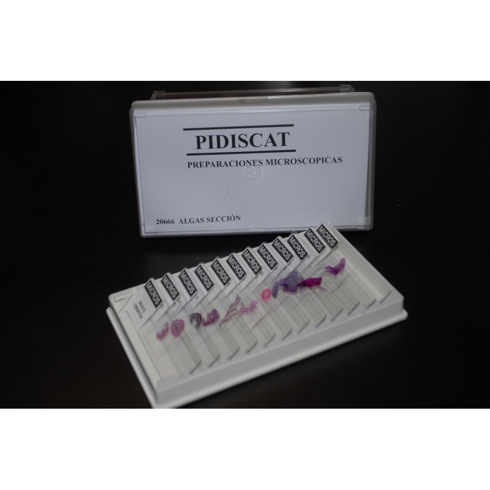 Preparacions microscòpiques MIC. Biologia general I (25p)