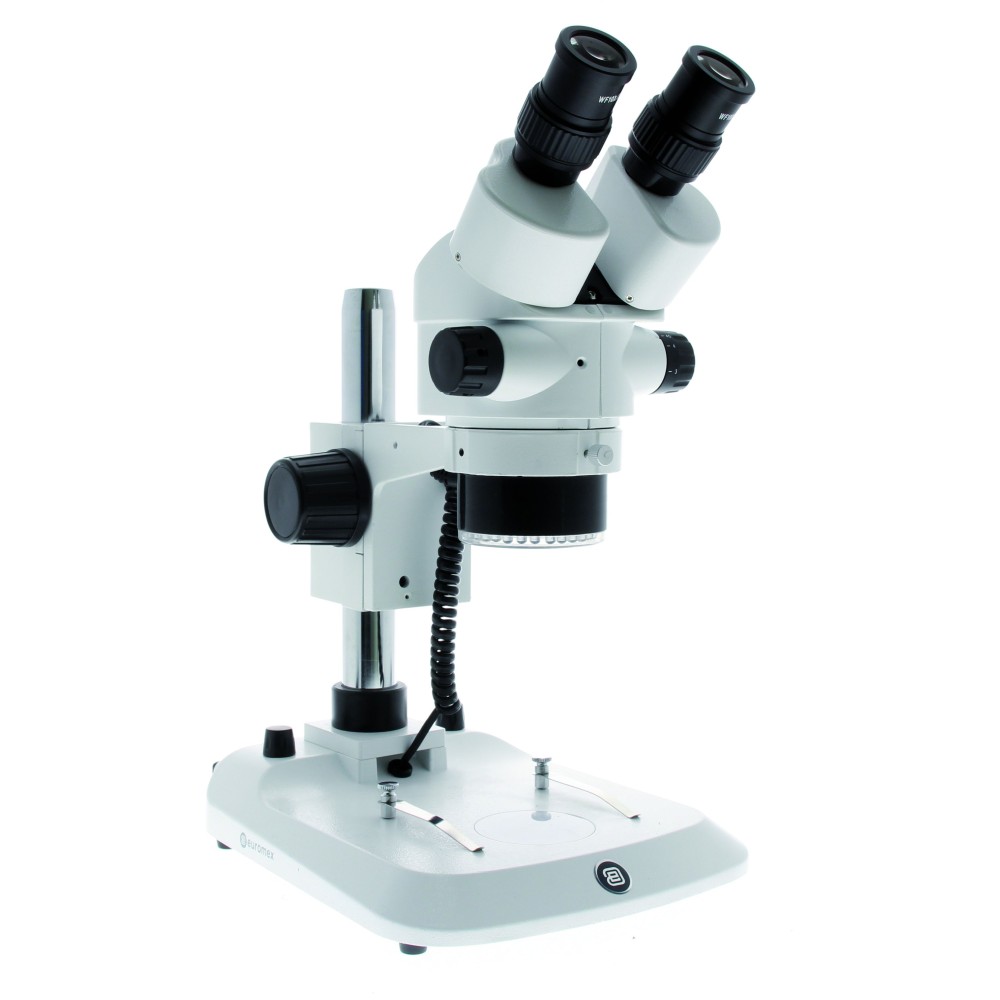 Estereomicroscopi triocular Stereoblue SB-1903-P. Columna zoom 7x-45x 