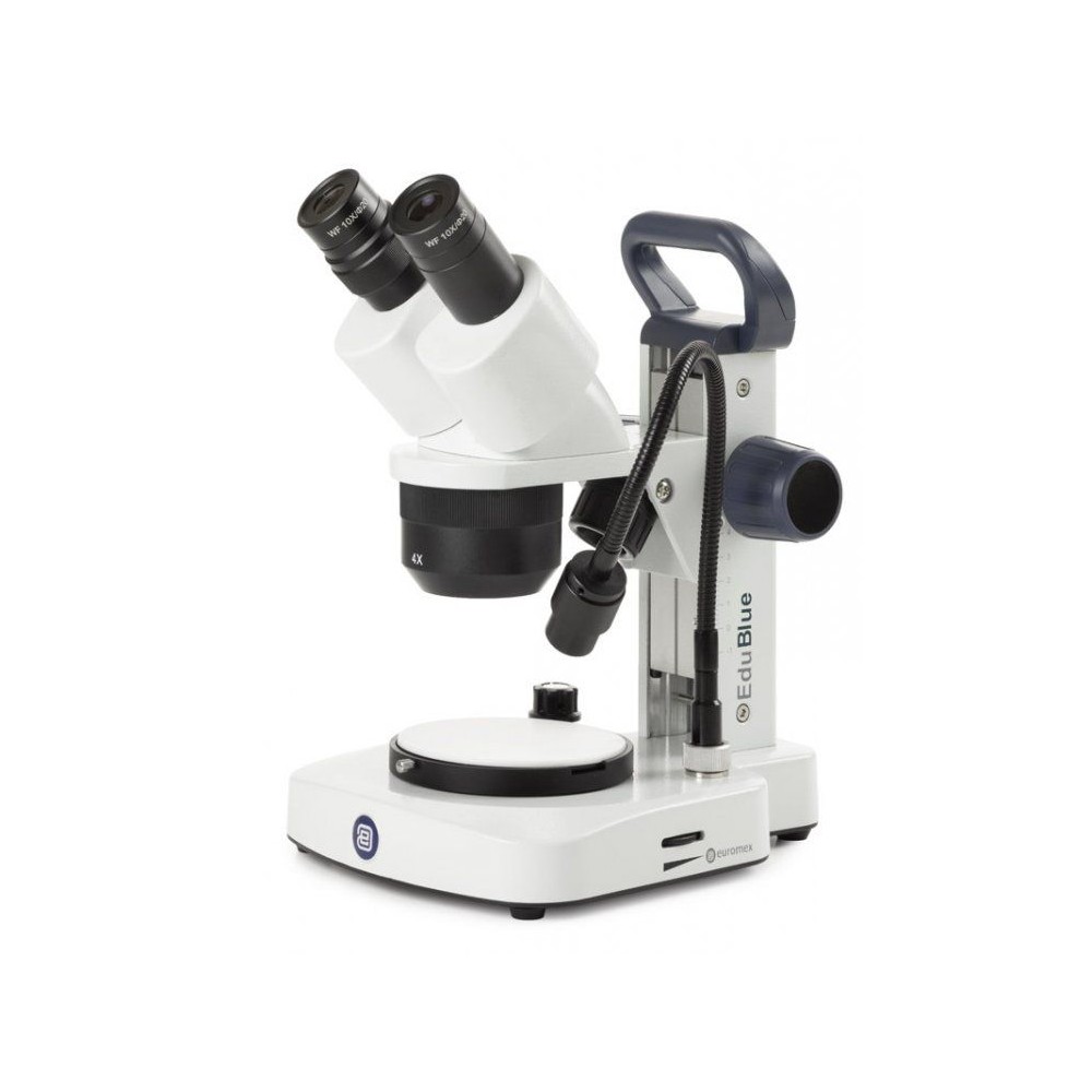 Estereomicroscopio binocular Edublue ED-1402-EVO. Brazo fijo 20x-40x