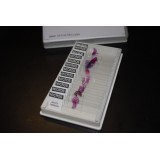 Preparacions microscòpiques Lieder biologia A. Capsa 25 peces