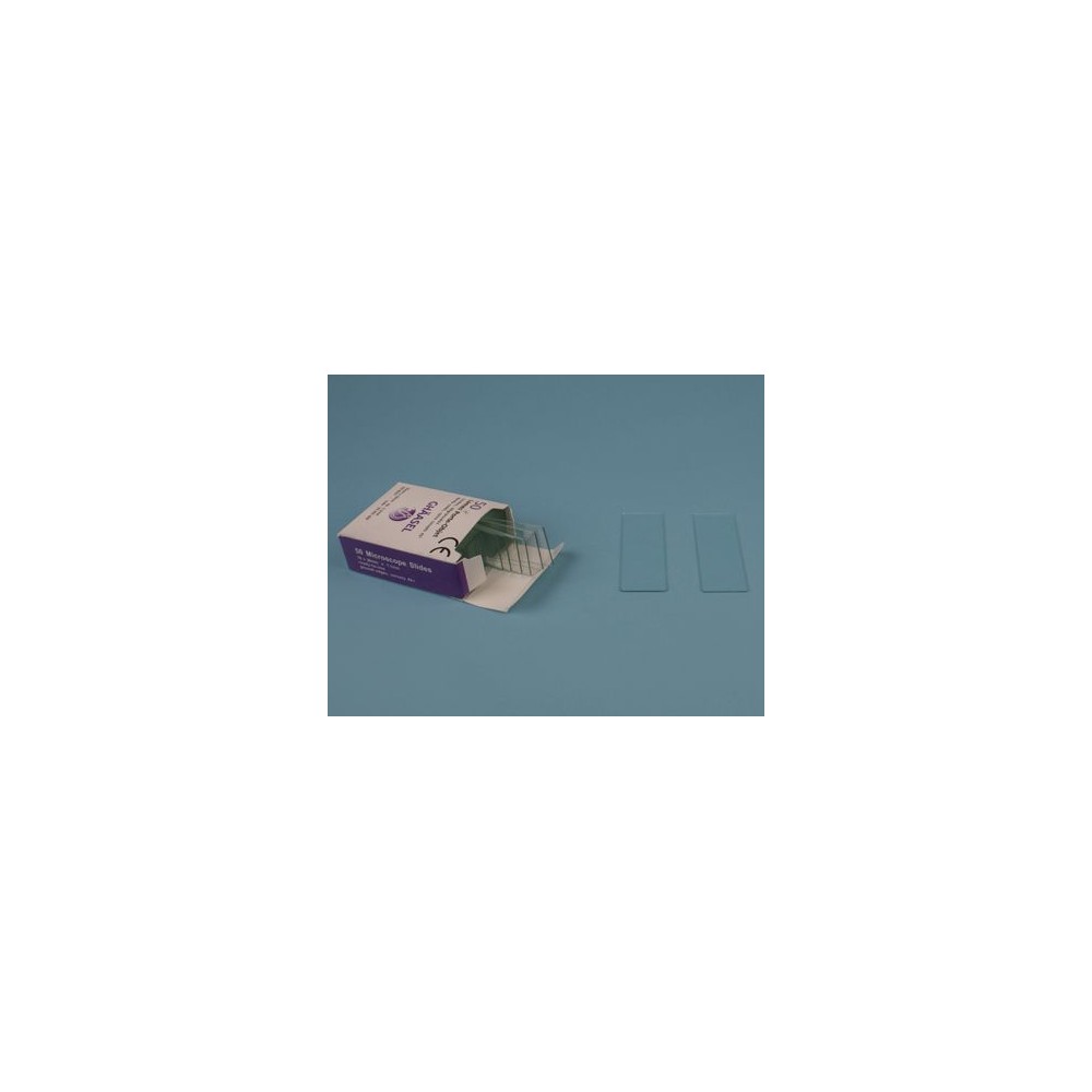 Polished Holderobjects 26x76 mm. 50 pieces box