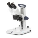 Estereomicroscopi binocular Stereoblue SB-1402-S. Bra&ccedil; fix 20x-40x 