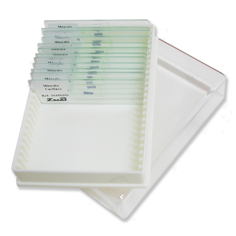 Preparaciones microscópicas Zuzi. Histología vegetal. Caja 24
