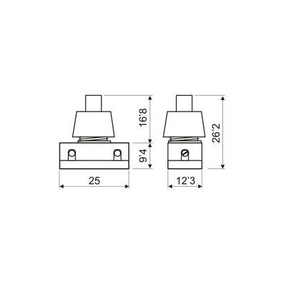 Interruptores unipolares 250V 2A DH-11-172. Caja 10 unidades