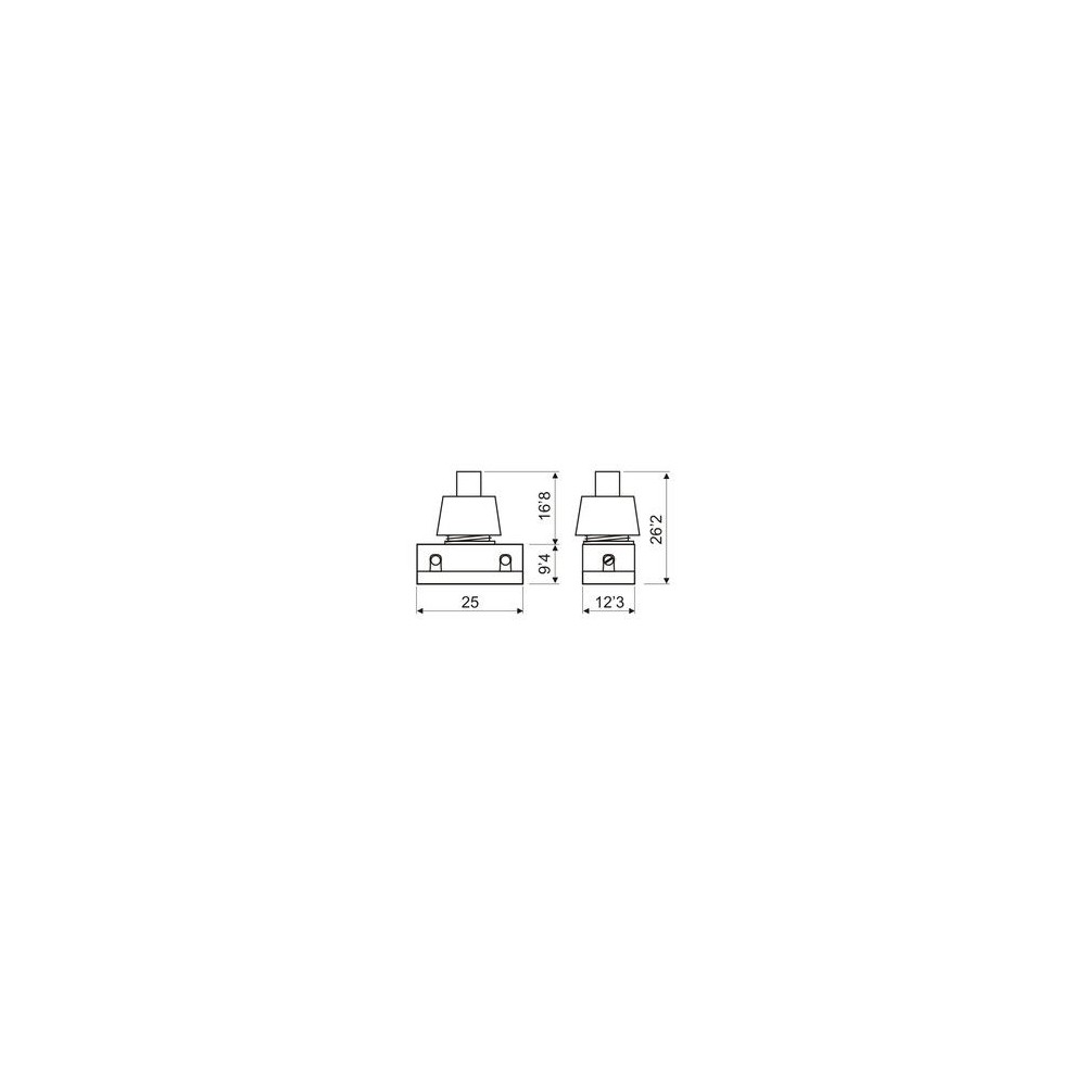Interruptores unipolares 250V 2A DH-11-172. Caja 10 unidades