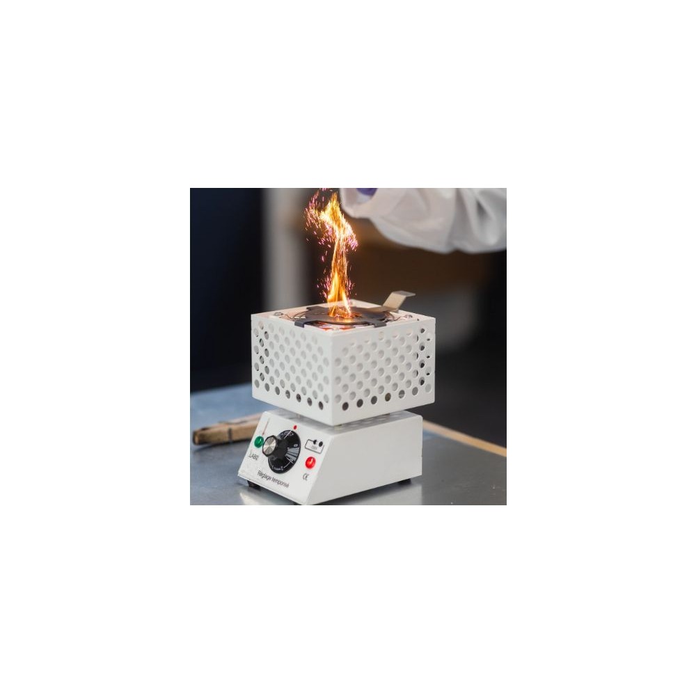 Bec gas Bunsen seguretat 11 mm amb reguladors. Gas natural