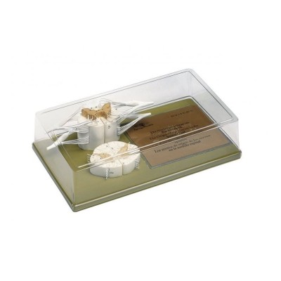 Model anatòmic Somso BS-32/37. Medul·la espinal 5:1 i 10:1 en 2 parts