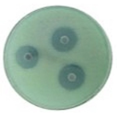 Identificació microbiana oxidasa L-88029. Capsa 50 bastonets