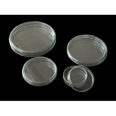 Cápsula Petri vidrio con tapa. Medidas 15x80 mm