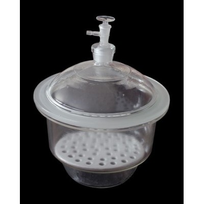Dessecador vidre Endo tapa clau amb placa 300 mm. Capacitat 14