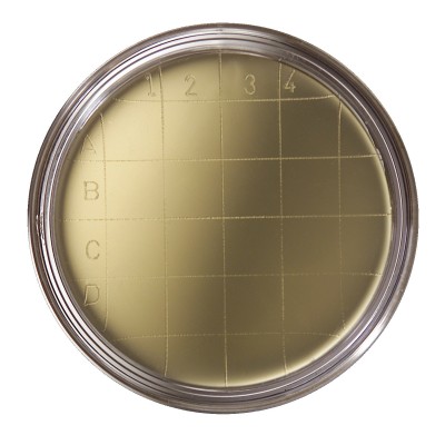 Agar triptona soja (TSA) contacto L-15340. Caja 20 placas