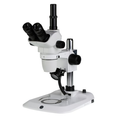 Estereomicroscopi triocular Nexius Zoom NZ-1903-P. Columna