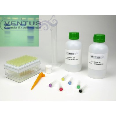 Kit electroforesis en gel de agarosa II V-44543