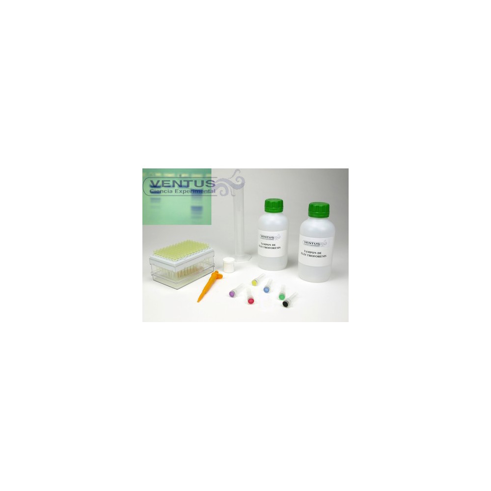Kit electroforesi en gel d'agarosa II V-44543
