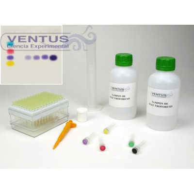 Kit simulación PCR V-44545