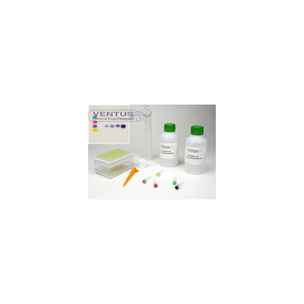 Kit simulació PCR V-44545