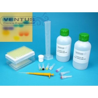 Kit test de paternidad V-44547