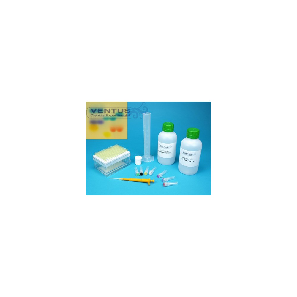 Kit test de paternidad V-44547