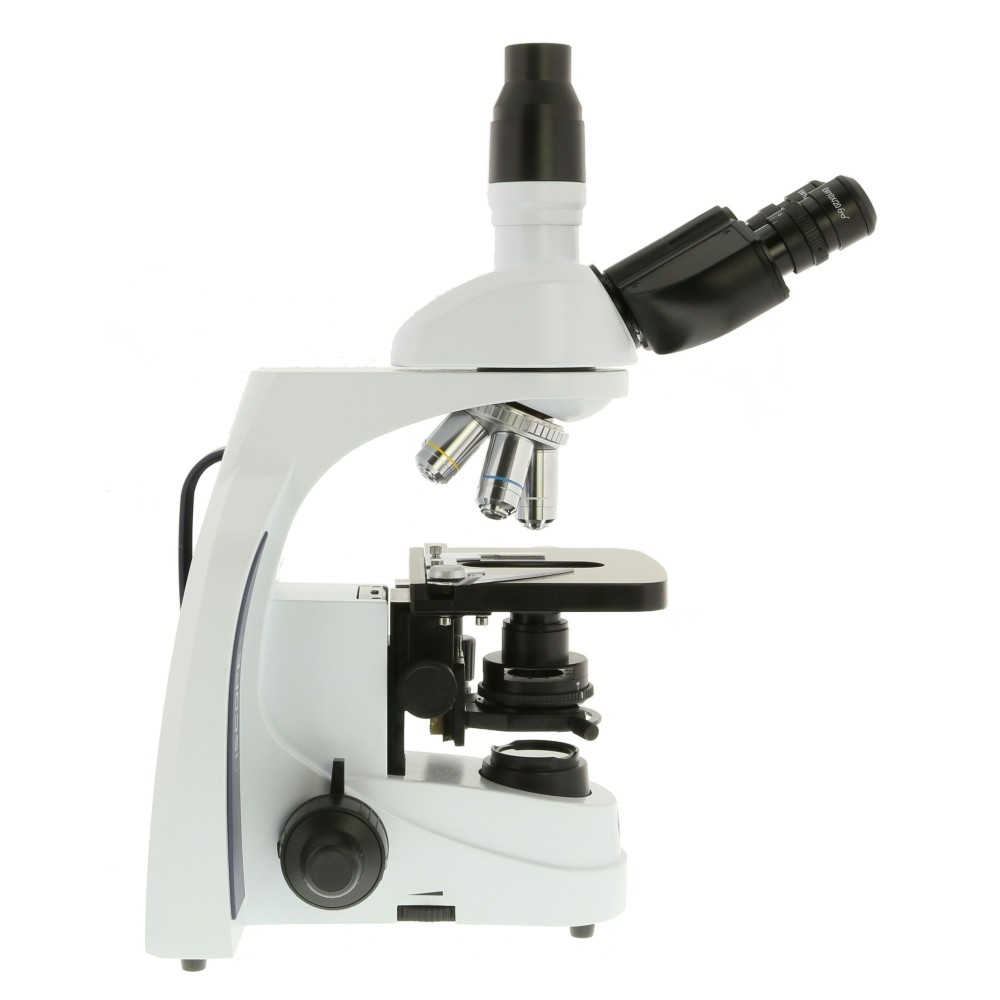 Microscopio planoacromático Iscope IS-1153-EPLi. Triocular 40x-1000x