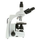 Microscopio planoacromático Iscope IS-1153-EPLi. Triocular 40x-1000x