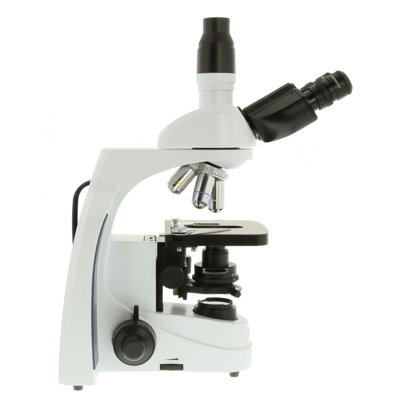Microscopi planoacromàtic Iscope IS-1153-EPL. Triocular 40x-1000x