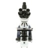 Microscopi contrast fases Iscope IS-1153-PLPHi. Triocular 100x-1000x