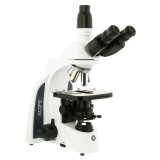 Microscopio contraste fases Iscope IS-1153-PLPHi. Triocular 100x-1000x
