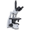 Microscopi planoacromàtic Labblue BB-1153-PLi. Triocular 40x-1000x 