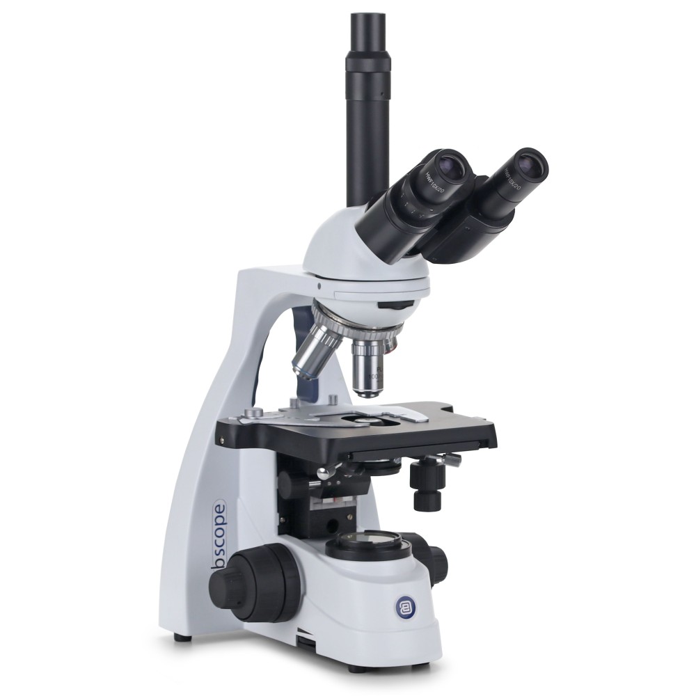 Microscopi contrast fases Bscope BS-1153-PLPHi. Triocular 100x-1000x