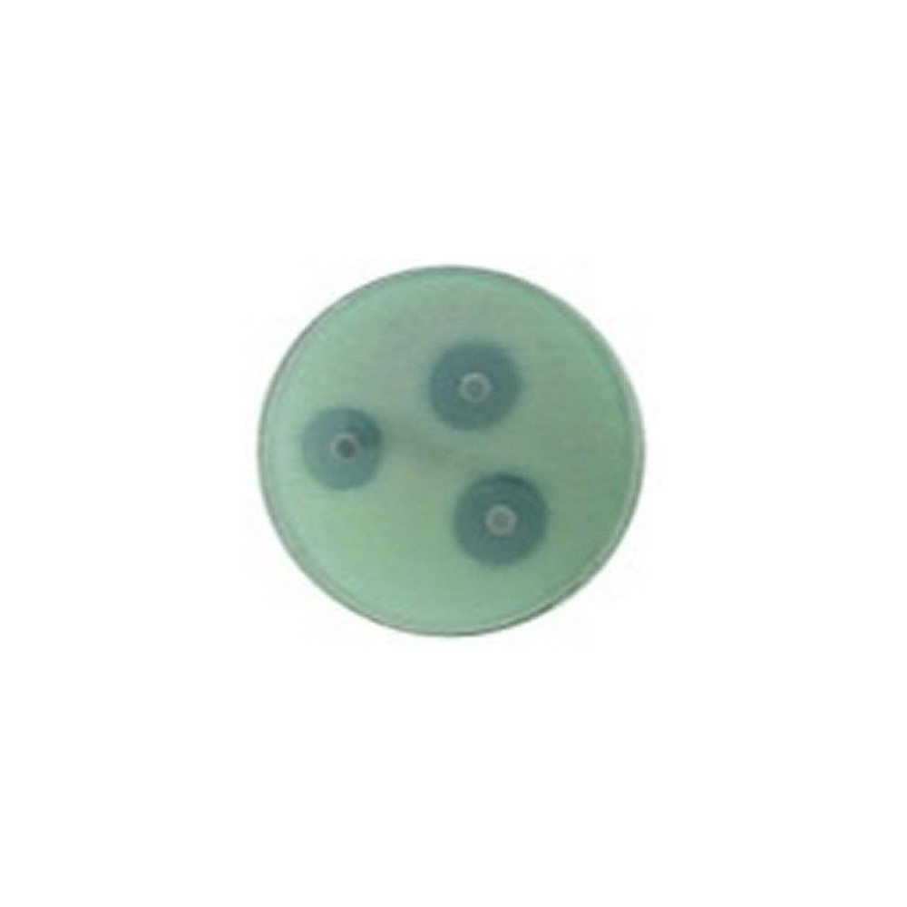 Identificació microbiana ONPG L-88105. Tubs 5x50 discs