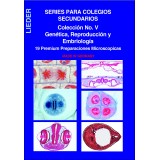 Preparacions microscòpiques L-4480 (19p). Genètica-Reproducció