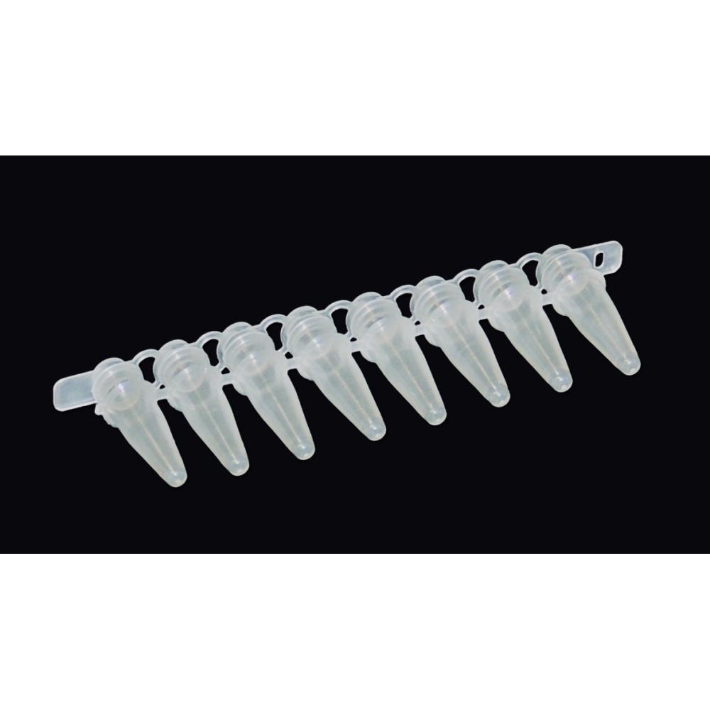 Microtubos PCR plástico PP fondo cónico 0'2 ml. Bolsa 200 tiras 12 unidades