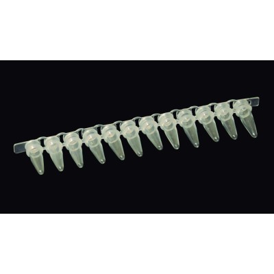 Microtubos PCR plástico fondo cónico 0'2 ml. Bolsa 200 tiras 12 unidades
