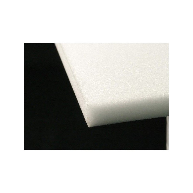 Plancha disección espuma. Medidas 275x165 mm