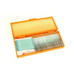 Preparacions microscòpiques QGR-011-24. Biologia bàsica