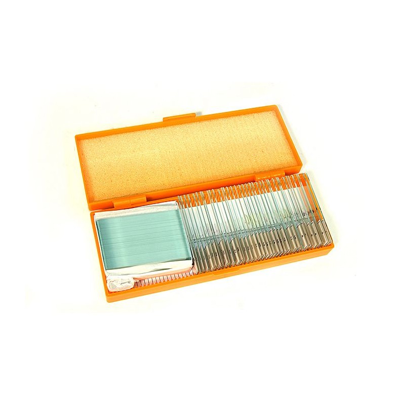 Preparacions microscòpiques QGR-011-24. Biologia bàsica