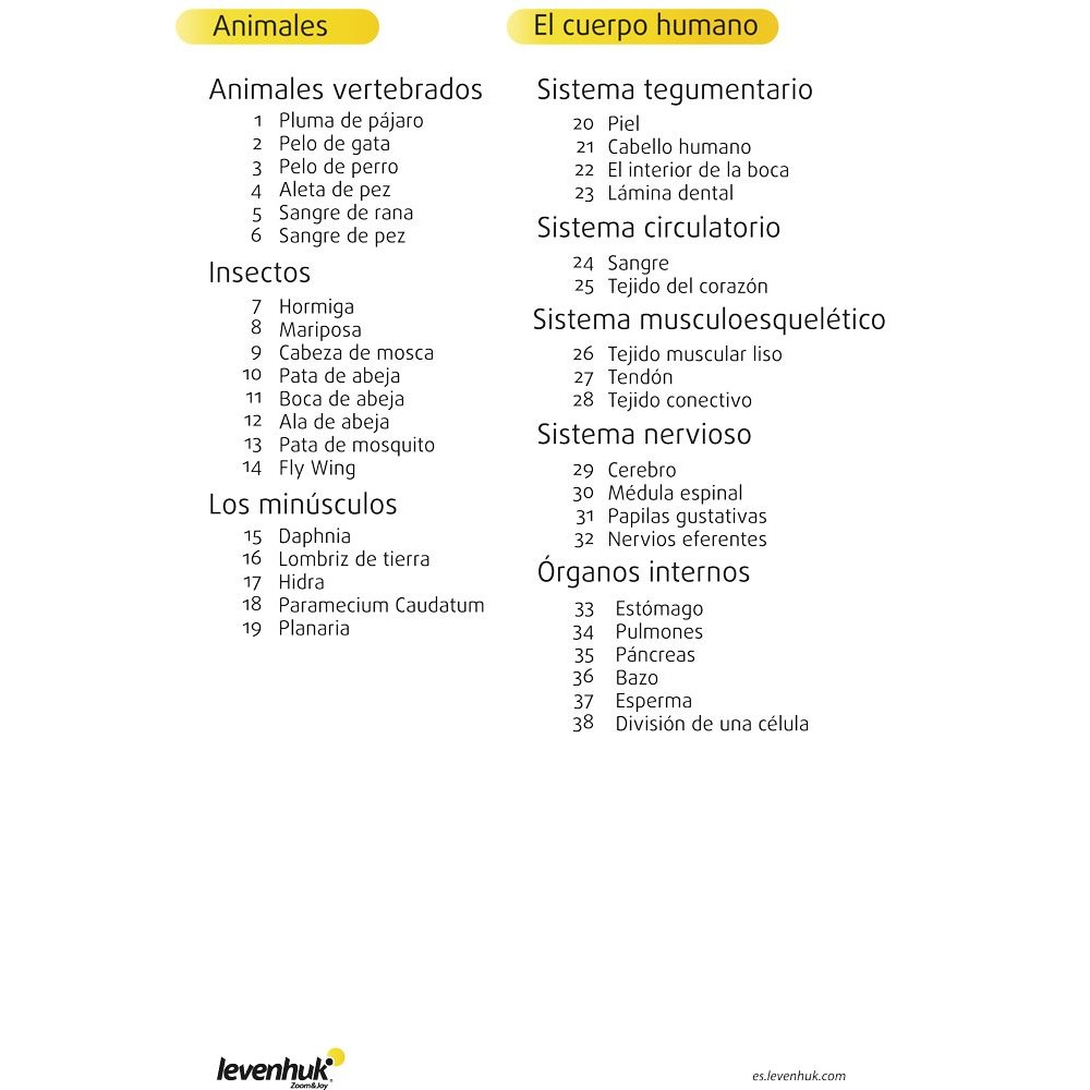 Preparacions microscòpiques QGR-011-24. Biologia bàsica