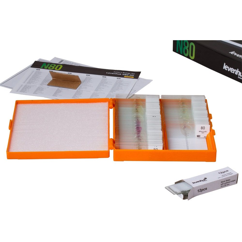 Preparacions microscòpiques QGR-011-24. Biologia bàsica