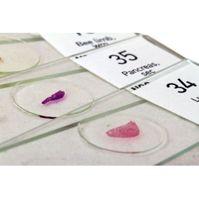 Preparacions microscòpiques N80-NG. Joc complet "See it all" 80 preparaciones