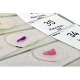 Preparacions microscòpiques QGR-011-24. Biologia bàsica