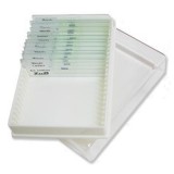 Preparacions microscòpiques bàsiques