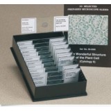 Upper microscope slides